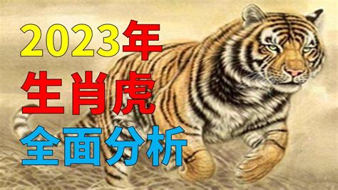 虎 2023 運勢 眼睛 波紋